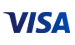 visa payments